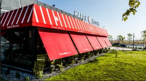 Window awnings